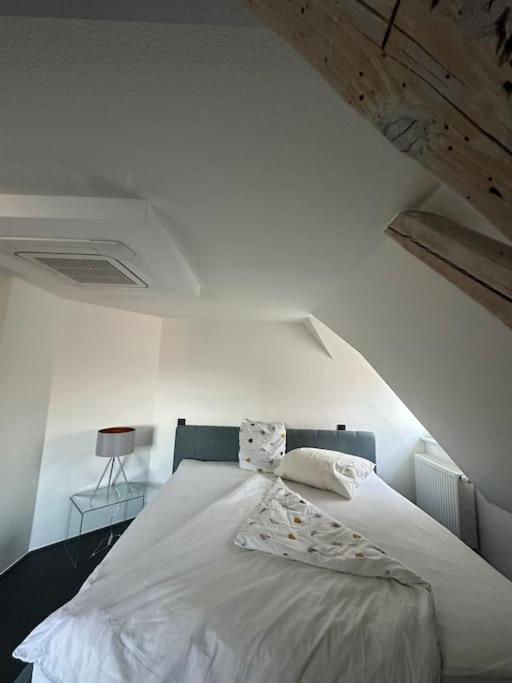 Panorama Penthouse In Wunderschoener Villa Kassel Eksteriør bilde