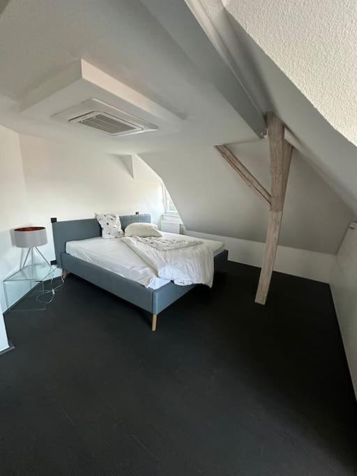 Panorama Penthouse In Wunderschoener Villa Kassel Eksteriør bilde